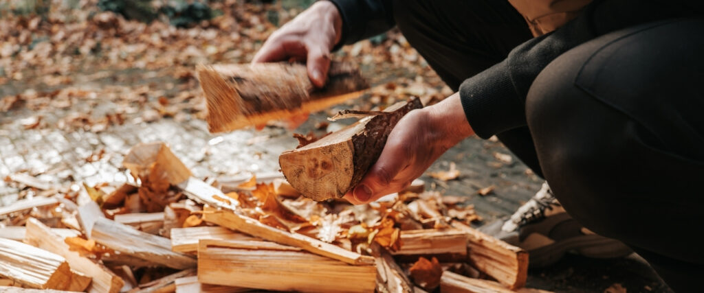 Where not to store firewood
