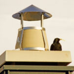 What Is a Chimney Cap and Does Your Home Actually Need One?