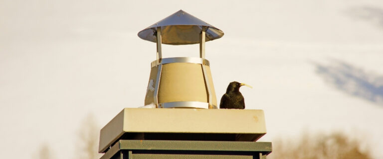 What Is a Chimney Cap and Does Your Home Actually Need One?